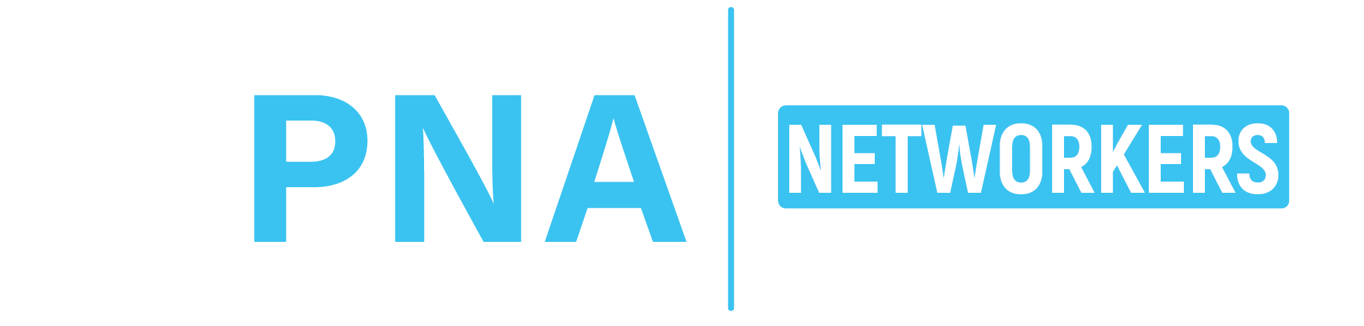 APNA - All Pakistan Networke Association